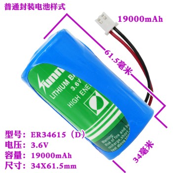 ER34615 Lithium Battery Size D