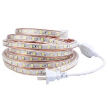 220V White SMD 5050 LED Light Strip