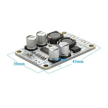 TPA3110 Mono Digital Audio Amplifier Module [30W]