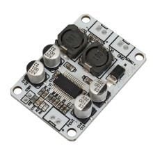 TPA3110 Mono Digital Audio Amplifier Module [30W]