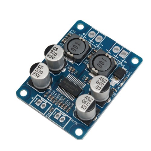 TPA3118 Mono Digital Audio Amplifier Module [60W]