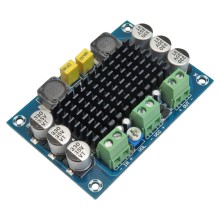 TPA3116D2 Mono Digital Audio Amplifier Module [100W]