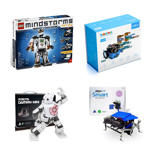 Robotis Mini Darwin - STEM Supplies