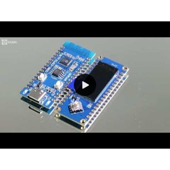 ESP32C3 Development Board with LCD Module