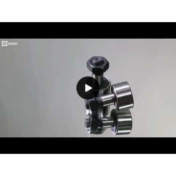 CF8 / KR19 Needle Roller Bearing Bolt