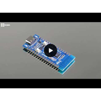 Classic ESP32C3 Development Board