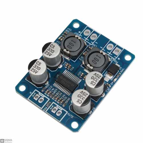 TPA3118 Mono Digital Audio Amplifier Module [60W]