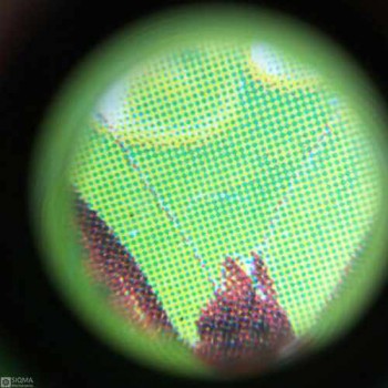 60X Portable Mini Microscope [Adjustable Focus]