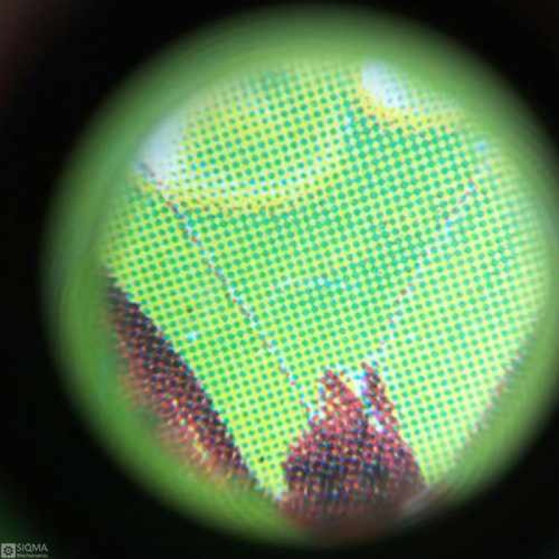 9592 60X Pocket Mini Microscope with with LED Light and UV Currency ...